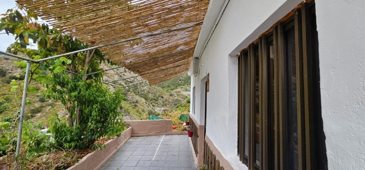 El Cabezo Valle Hermoso Vallehermoso Exterior foto